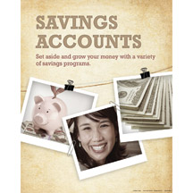 Savings Accounts - 2800 Series