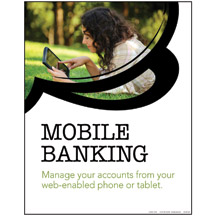 Mobile Banking - 2900 Series