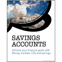 Savings Accounts - 2900 Series